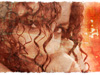Simon Zammit Cutajar's Portfolio